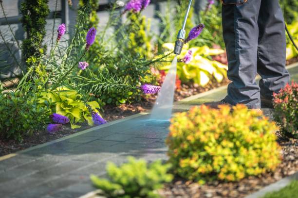 Trusted Madison, GA Pressure Washing Experts